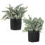 2 pièces fausse plante de buis eucalyptus dans des jardinières noires