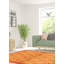 Tapis décoratif en laine noué à la main de conception unique noué à la main new age de style persan 18/20 orange 4 pi x 6 pi 1 po