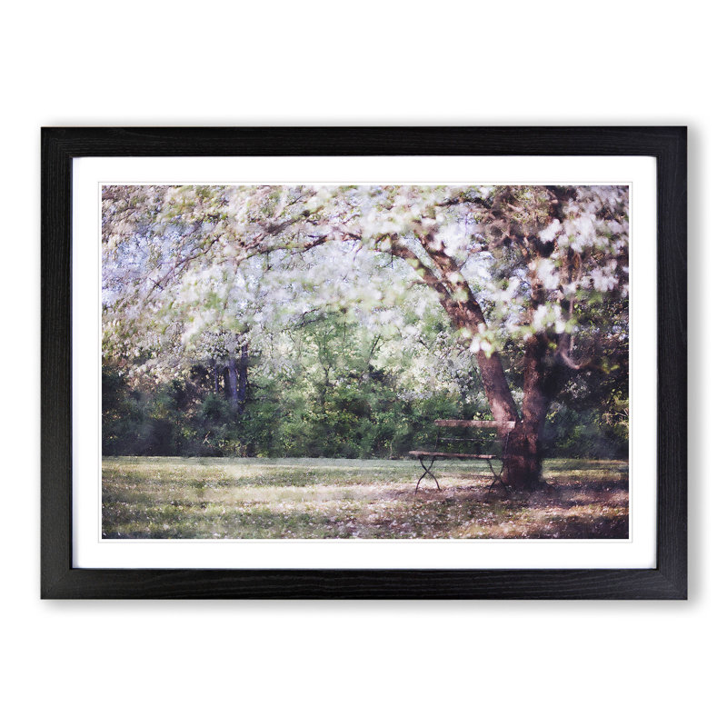 Blossom Tree in a Park - Picture Frame Painting, Black Framed, 36cm H x 48cm W x 2cm D
