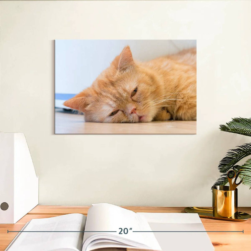 Crowle Sleeping Cat, 8" H x 12" W