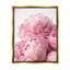 Art mural sur toile Blush-2112419775-2112419773