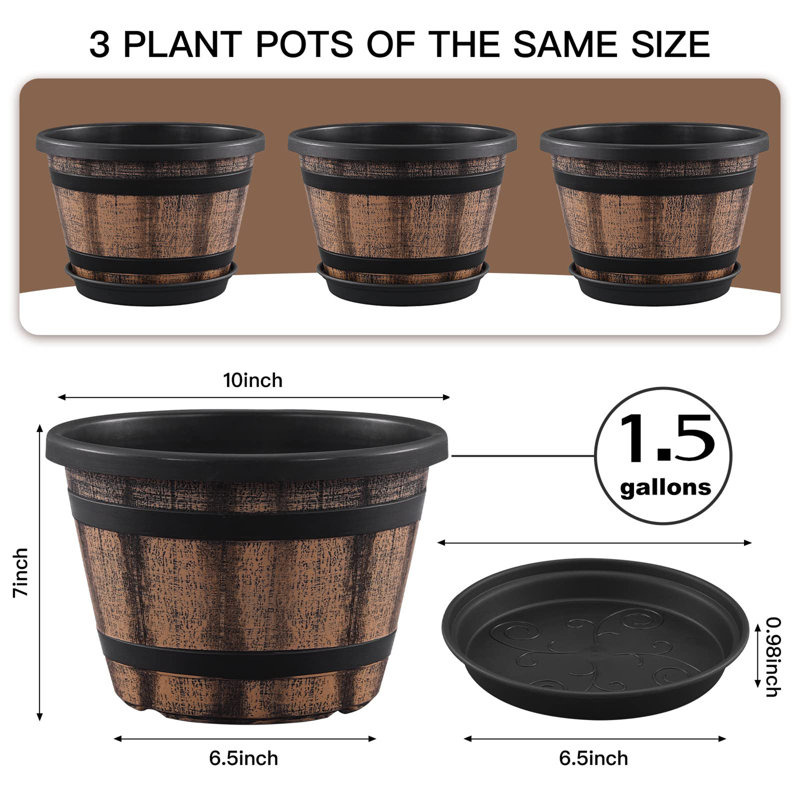Paquet de 3 pots de plantes de 10 pouces