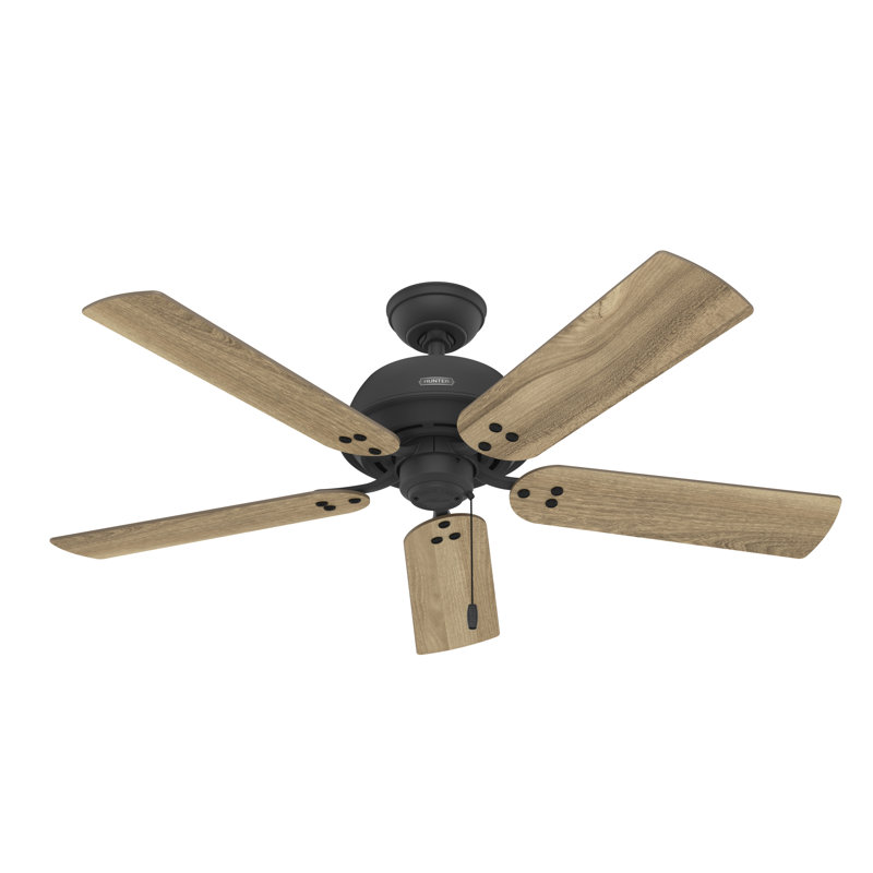 52" Shady Grove 5 - Blade Ceiling Fan With LED Light Kit And Pull Chain, Matte Black