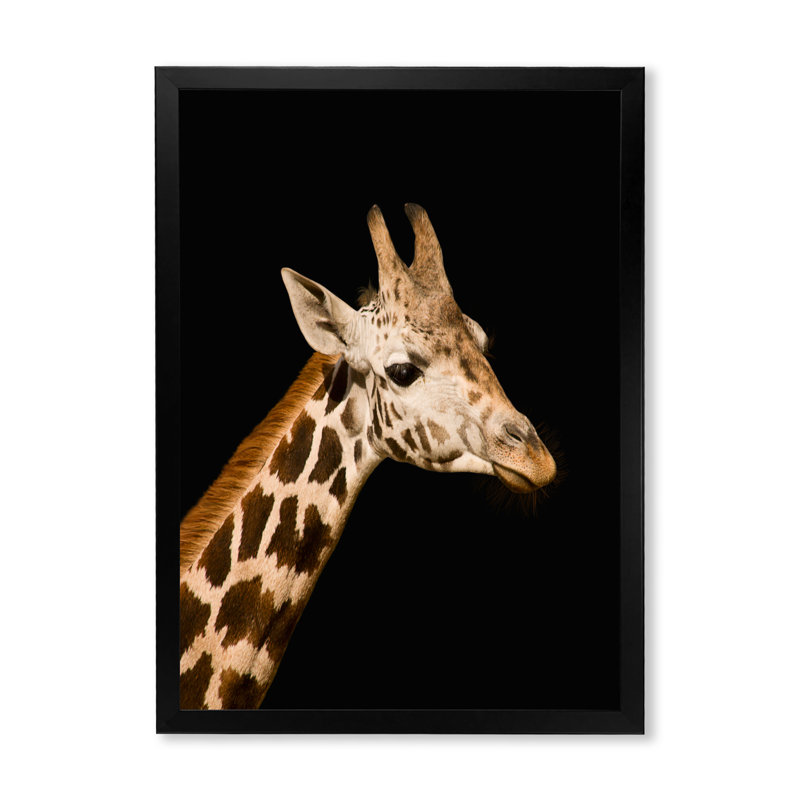 Gros plan sur une girafe IV - photographie sur toile, H 32 po x l 24 po x P 1 po, Cadre noir