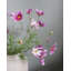 Real Touch White Cosmos 29 po-904251297