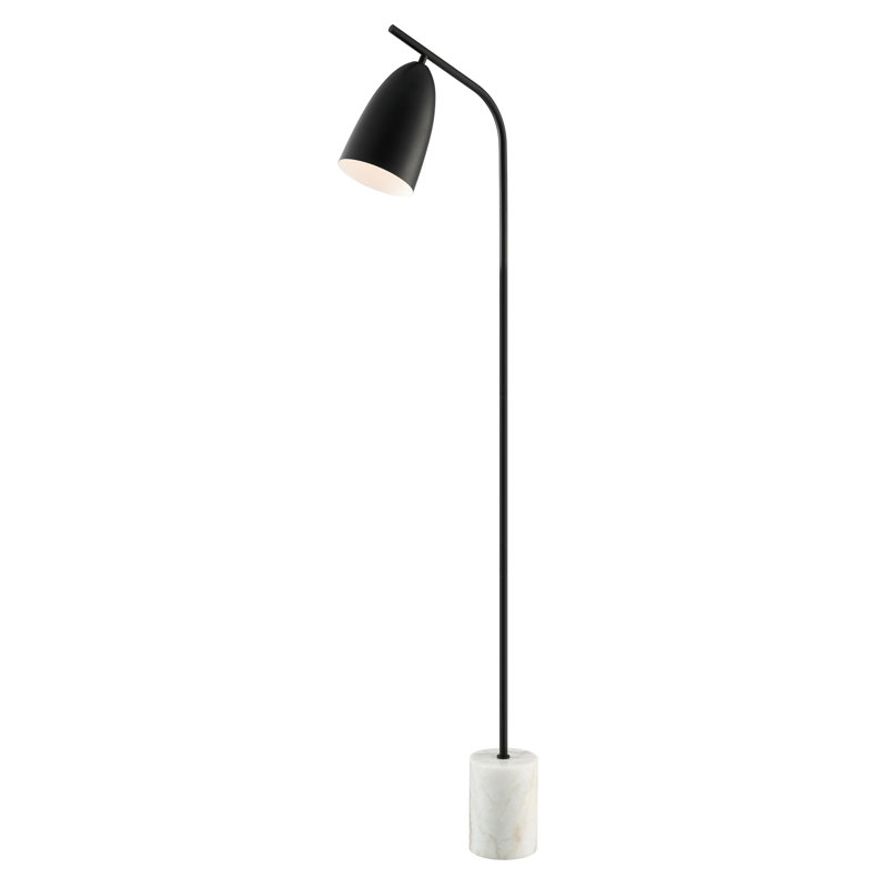 Delyu 62'' Black Arched Floor Lamp
