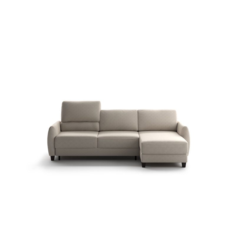 Delta Full XL Sectional (Reversible Chaise + Loveseat Sleeper) Cloud 02 - 104/9 Smoked Birch