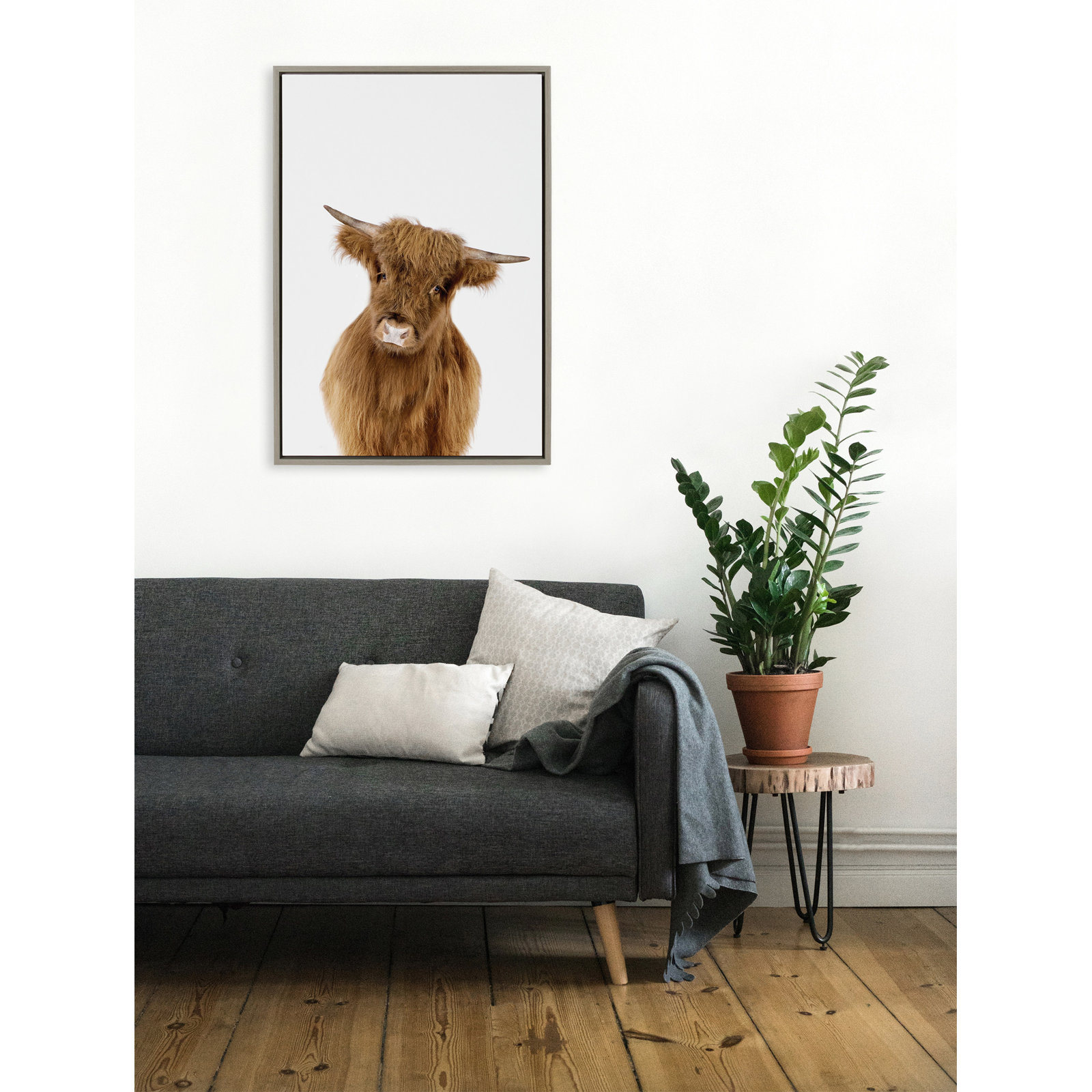 Baby Highland Calf Graphic Art on Canvas, 23" x 33", Gray Framed