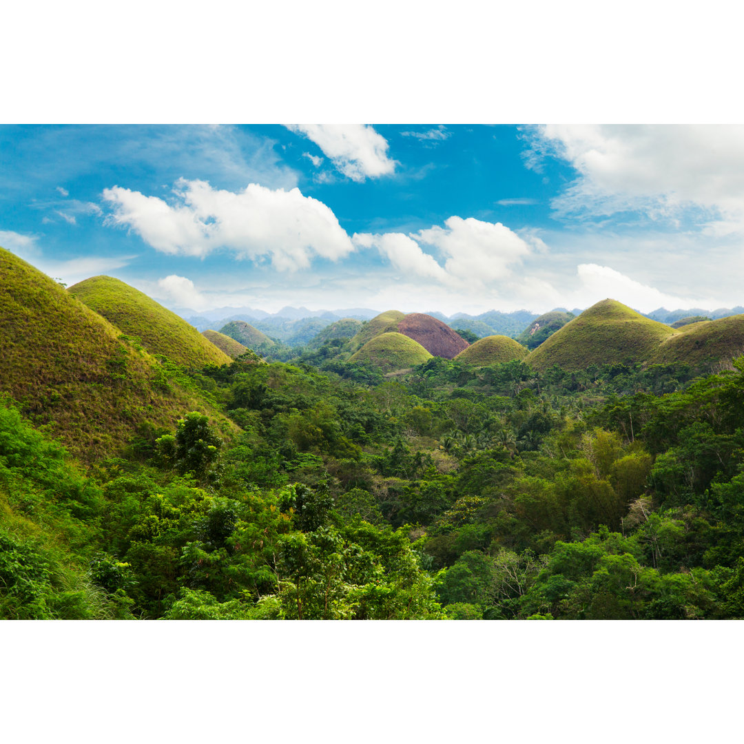 Chocolate Hills von Danilovi - Kunstdrucke auf Leinwand