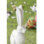 Figurine de lapin 8,3 po x 5,1 po x 18,5 po, blanc