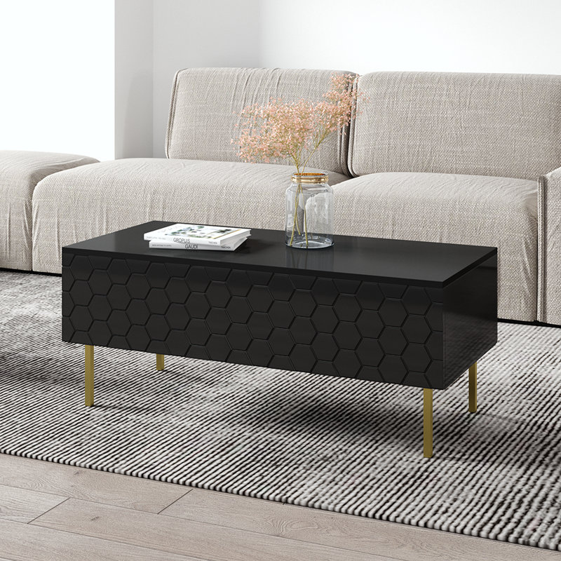 Winchelsea 47.2" Coffee Table with High Gloss Finish, Black/Gold, Black