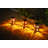 Solar Themed Silhouette Indoor/Outdoor Garden Décor Lantern-91435006