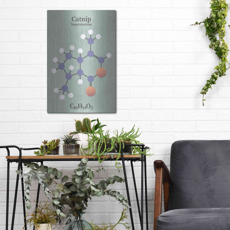 " Catnip Molecule 2 " by Maxim, 16" H x 12" W