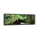 « rainforest landscape, mount field national park, tasmanie, australie », reproduction de photo sur toile