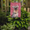 Drapeau de jardin à 2 côtés Avariella Cooper Love and Hearts