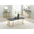 Reynalda 47.25" Width Black Steel Coffee Table Set