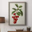 Antique Fruit II - Cadre photo unique, impression sur toile-1031960764-1031960765