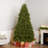 Leterra Dunhill Fir Tree with Dual Color LED Lights-335498686