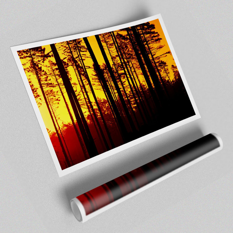 Through The Trees - No Frame Print