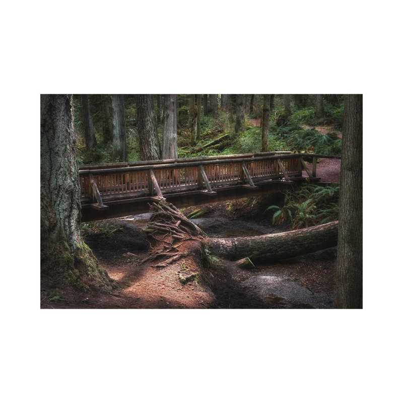 A Walk In Through Nature by Louis Ruth - Wrapped Canvas Painting, 20.32 cm H x 30.48 cm W