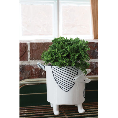 Jevyn Handmade Ceramic Statue Planter