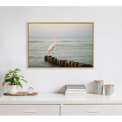 Corrales Ocean Beach Animal Bird Framed On Canvas by Crystal Lynn Collins Photograph