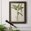 Banane de palmier I - Peinture sur toile encadrée-884583056