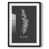 Black Framed Paper