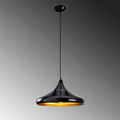 Luminaire suspendu en dome à 1 lumière