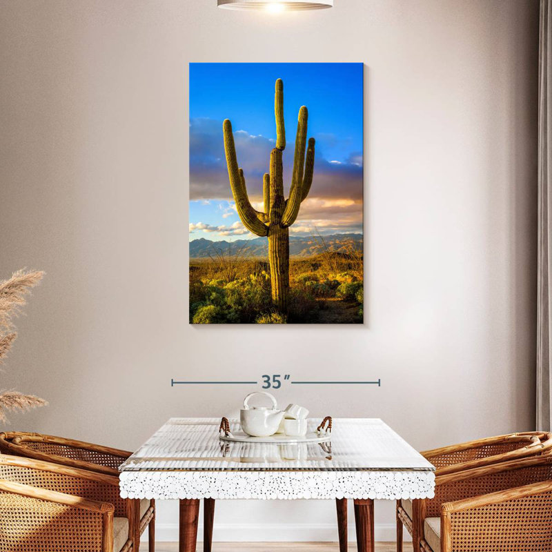 Parc national Harnek Saguaro Est III, H 36 po x l 24 po