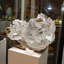 Massive Gypsum Var. Selenite From Mexico