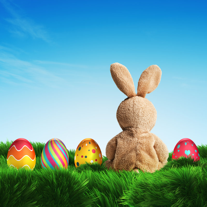 Easter Bunny And Eggs - Wrapped Canvas Print, 76cm H x 76cm W