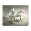 Wall Art on Canvas