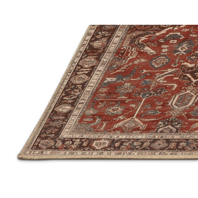 Machine Washable Persian Brown Area Rug
