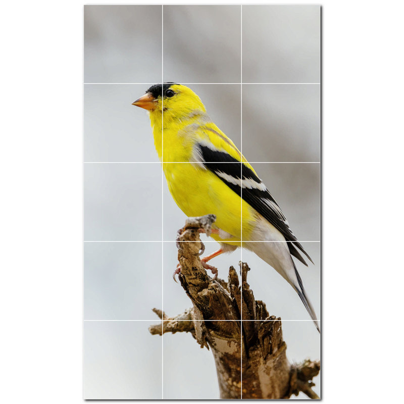 Panneau décoratif en céramique satinée Bird Photo 12 po x 12 po