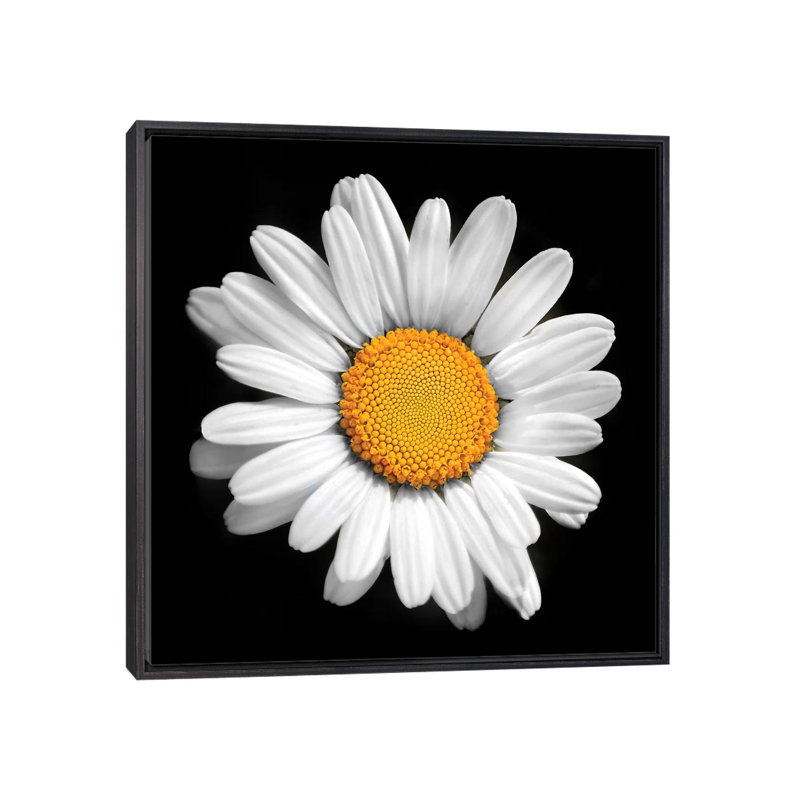 «There Is a Sun in Every Flower» par Ben Heine - impression d'art graphique, H 26 po x l 26 po x P 1,5 po, Pas de tapis