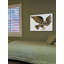 Screech Owl by Eric Carle - Painting on Canvas-1043180844