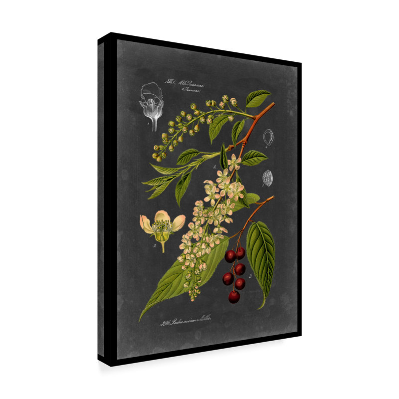 « minuit botanique ii », reproduction d’impression sur toile tendue, H 19 po x l 14 po x P 2 po