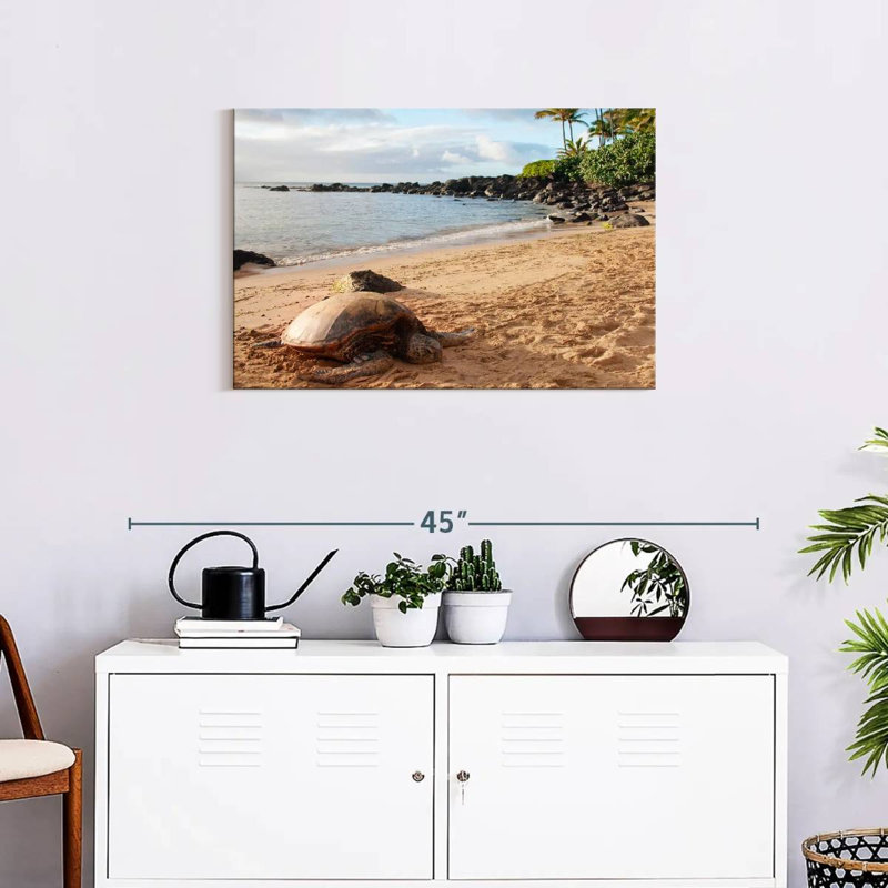 Turtle Beach, 30" H x 45" W