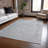 Felissae Silver Washable Indoor-Outdoor Rug - LOOMLAN-123467247