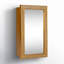 18'' W Mirrored Medicine Cabinet