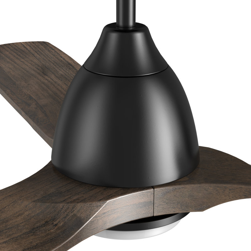 Ventilateur de plafond standard à 48 pales 48 pouces avec télécommande et ensemble d'éclairage inclus 