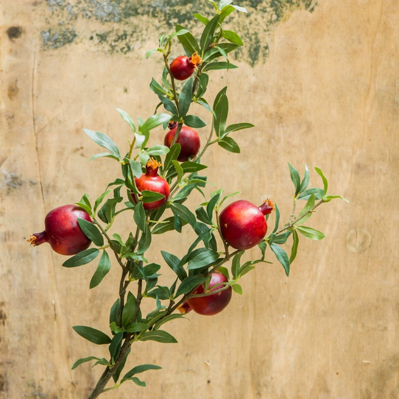Big Fruit Faux Pomegranate Stem 32" Tall, Red