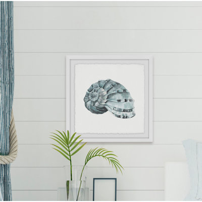 « classy shell », reproduction de peinture à l’aquarelle encadrée