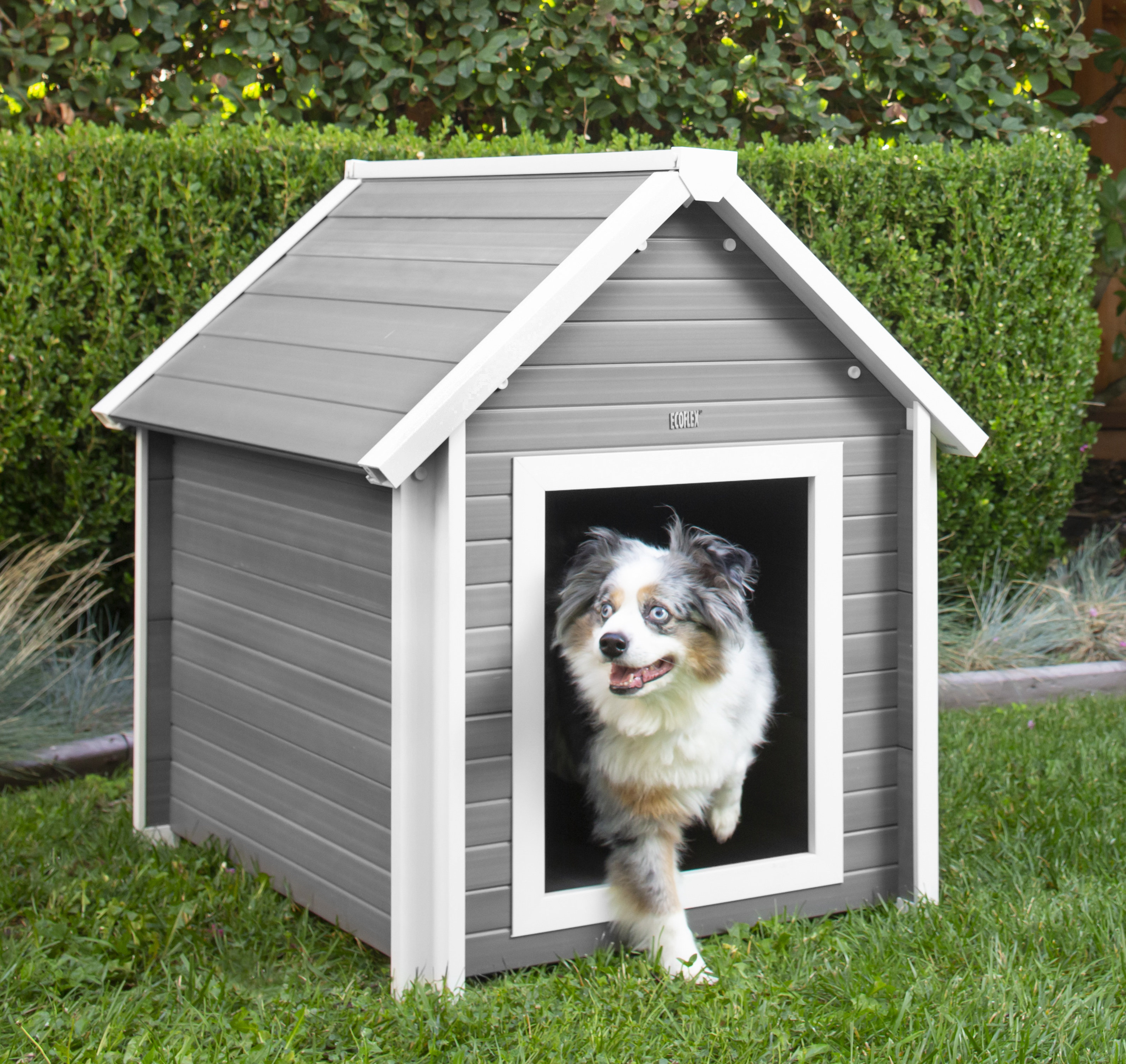 Archie & Oscar™ Achilles ECOFLEX Bunk Style Dog House & Reviews | Wayfair