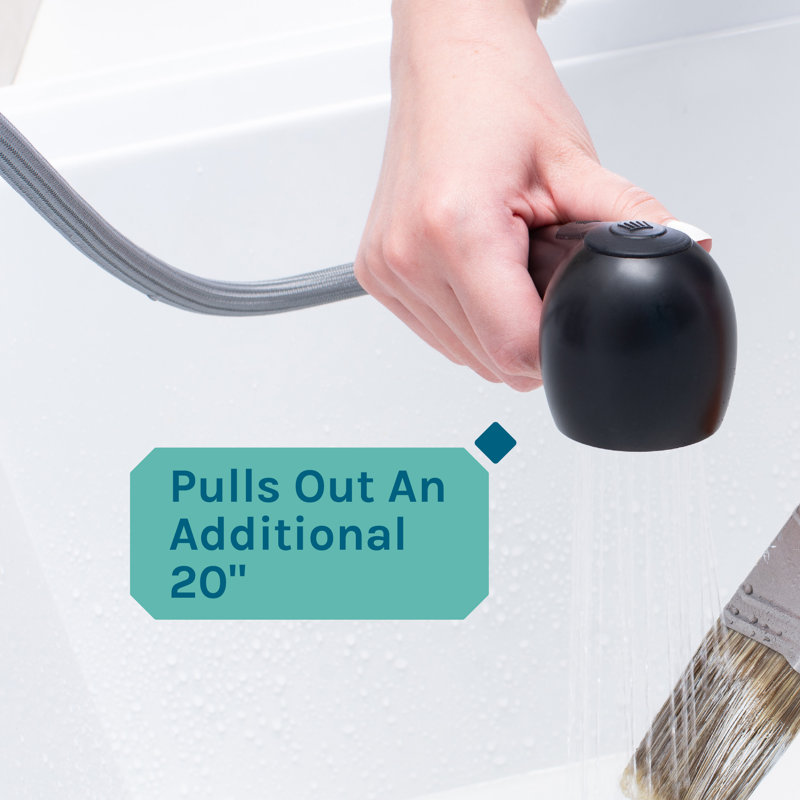 Dual-Handle ABS Plastic Pull-Out Faucet, Black
