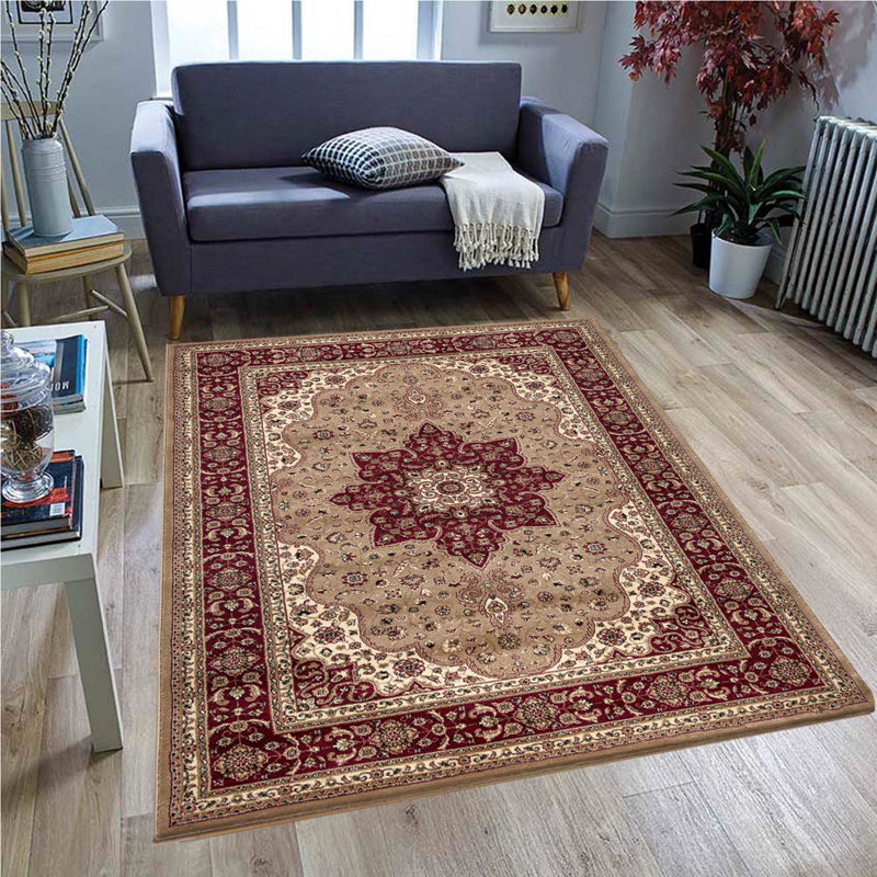Aspynn Oriental Area Rug, Rectangle 200 x 290cm