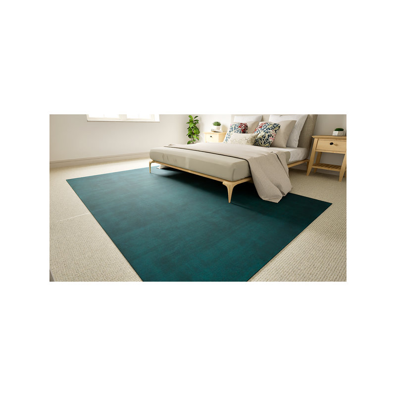 Wool Hand Knotted Area Rug, 3.00m x 2.00m