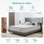 Novilla 23cm Memory Foam  Pocket Sprung Mattress-109175062