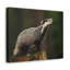 No Frame Print on Canvas-139278065
